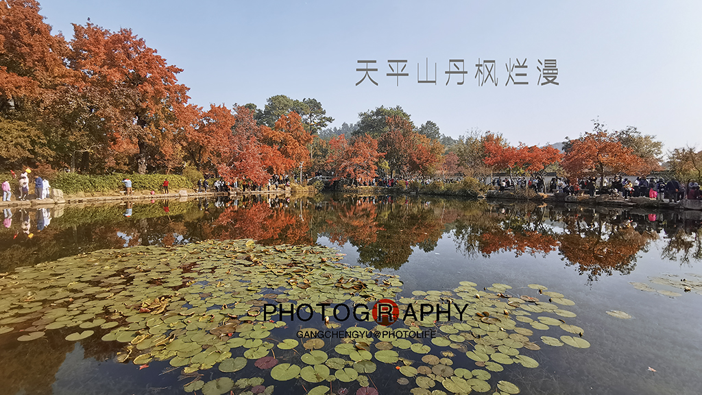 天平山丹枫烂漫-轻简网_QJianNet