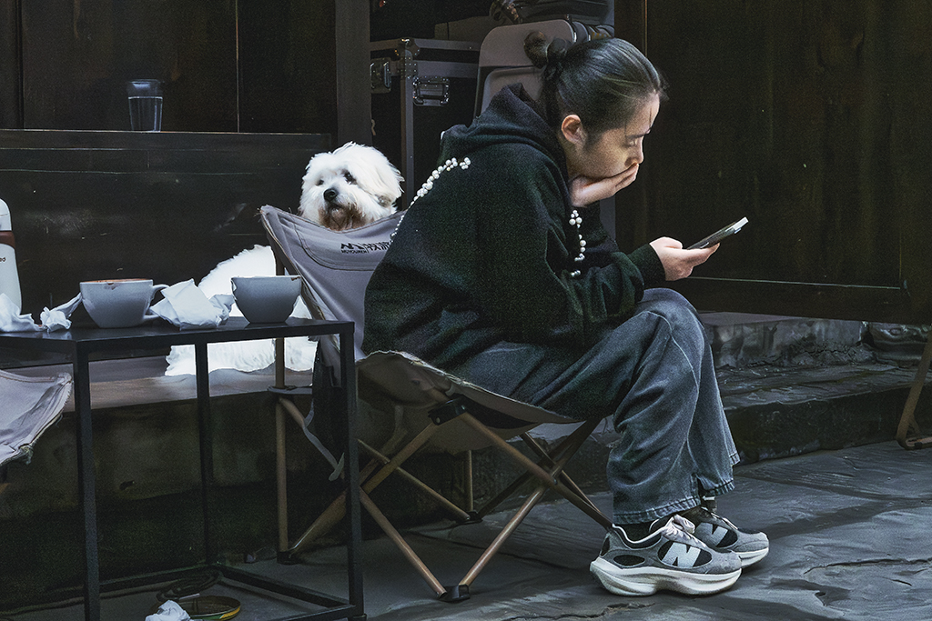 古镇悠闲生活-轻简网_QJianNet