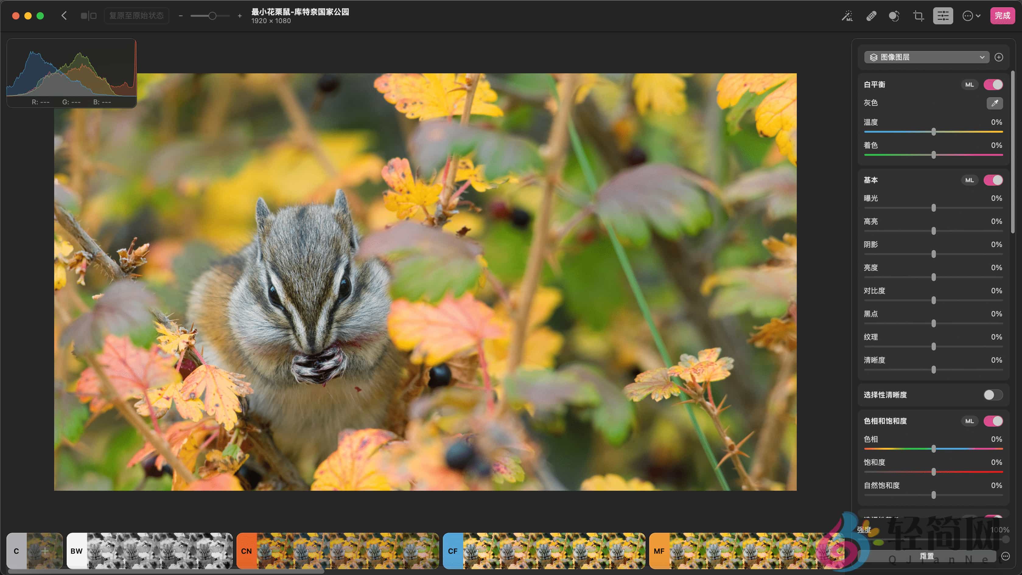 图片[1]-Photomator 3.4.12 MAS 照片编辑器-轻简网_QJianNet