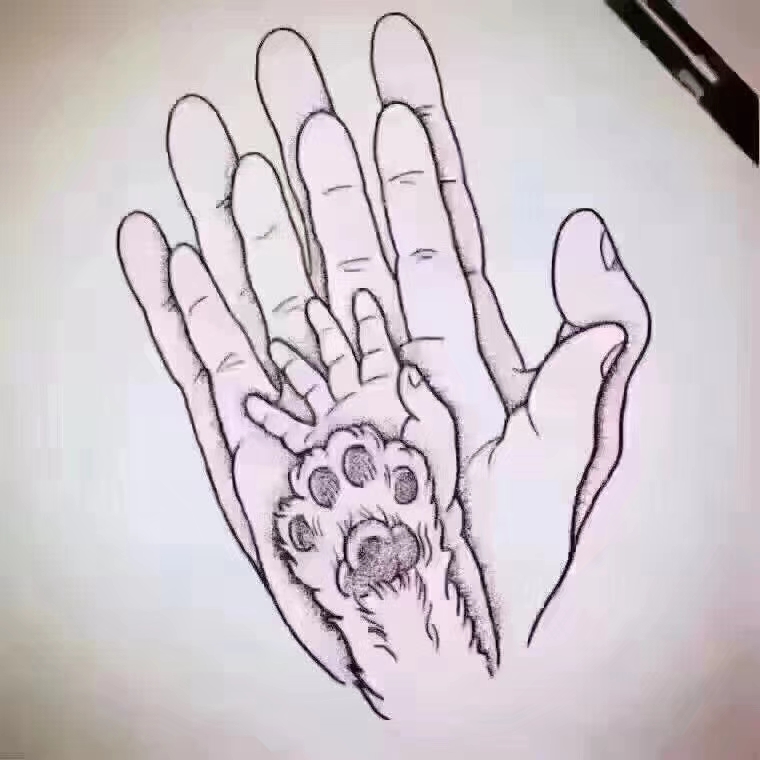 螃蟹的头像-轻简网_QJianNet