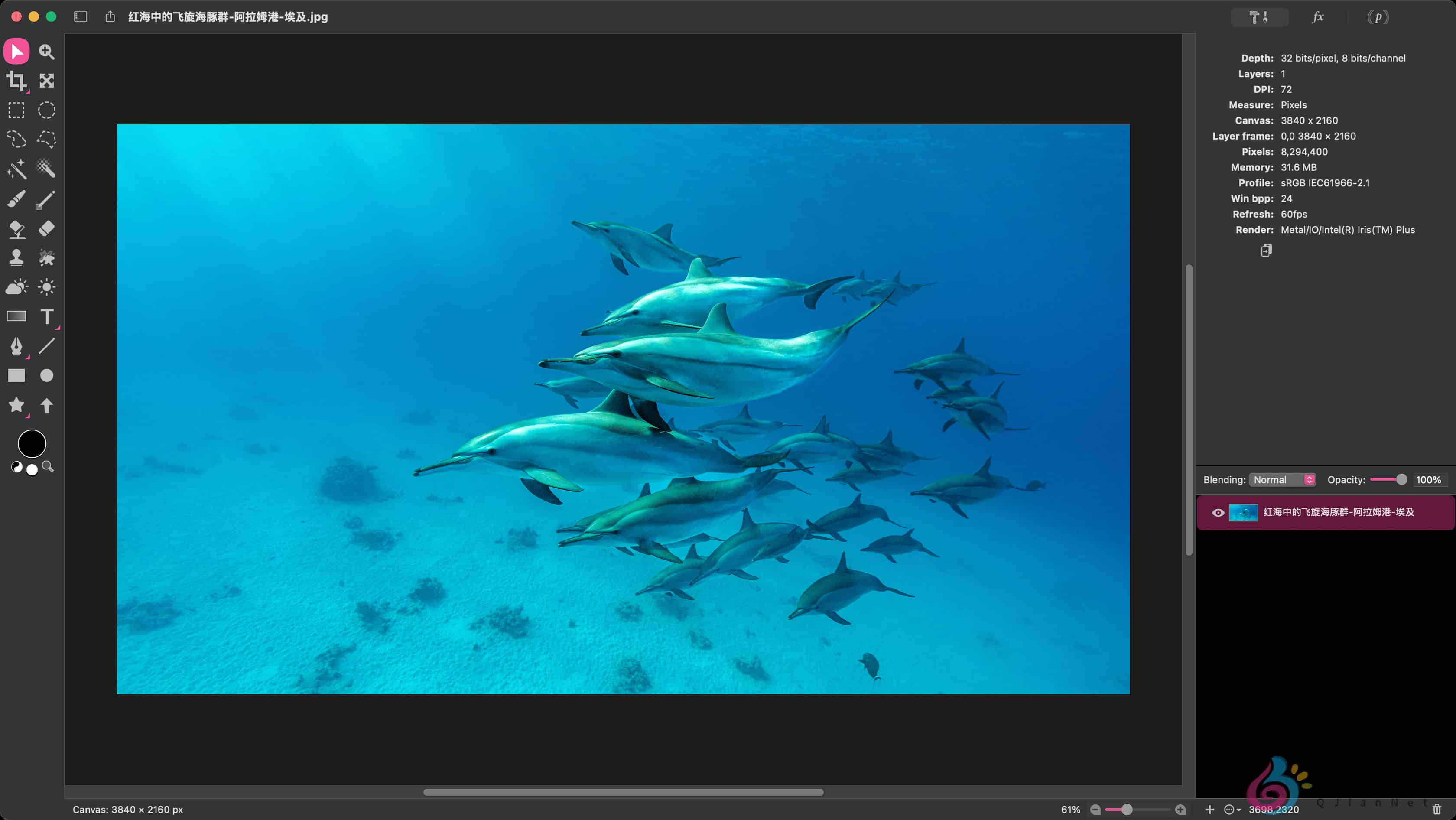 图片[1]-Acorn 8.3.2 图像编辑器-轻简网_QJianNet
