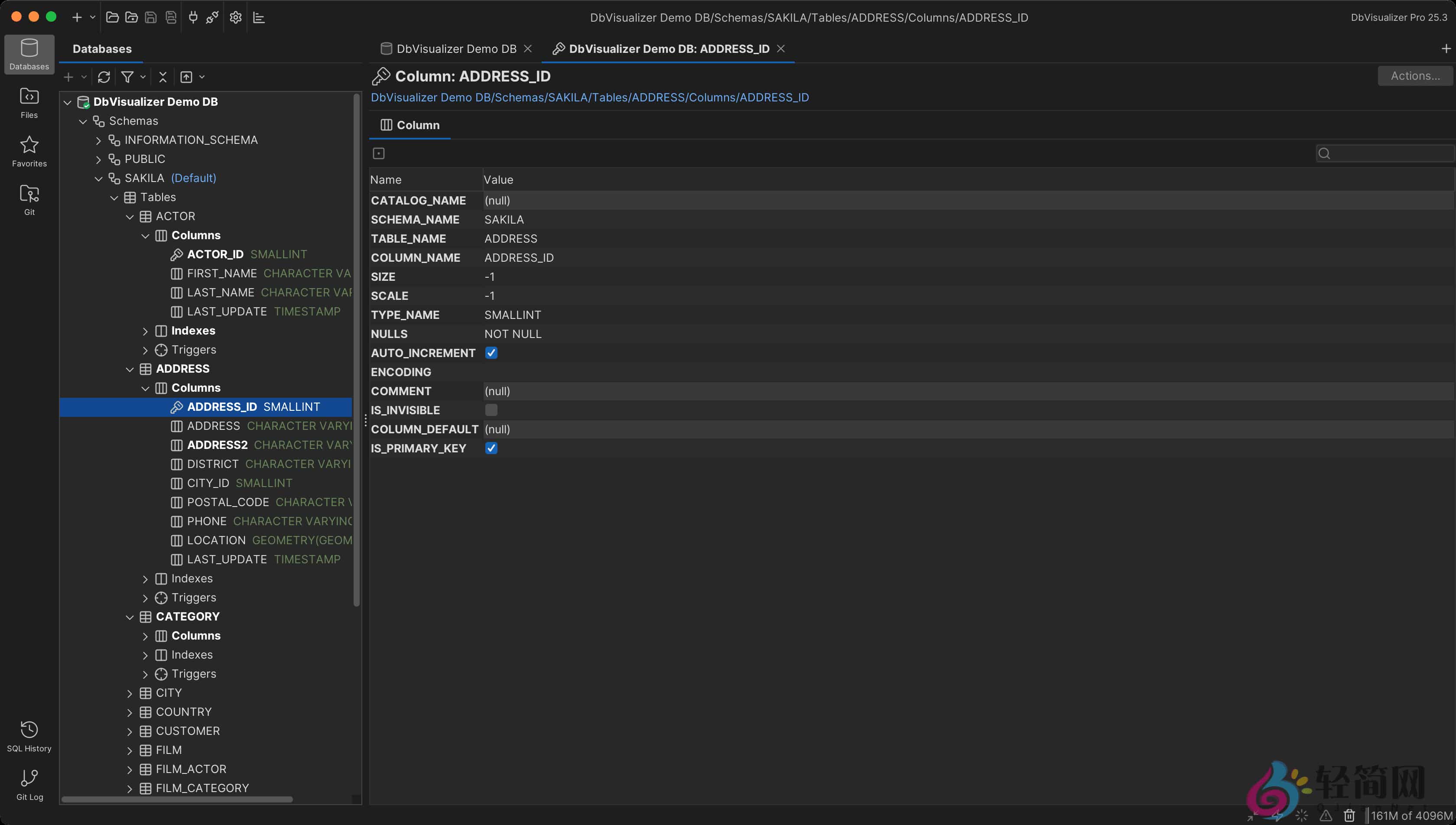 图片[3]-DbVisualizer Pro 25.3.0 SQL 客户端和数据库管理-轻简网_QJianNet
