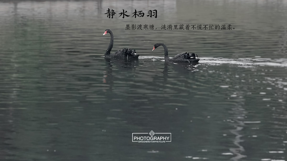 4deb0004df20260122171945