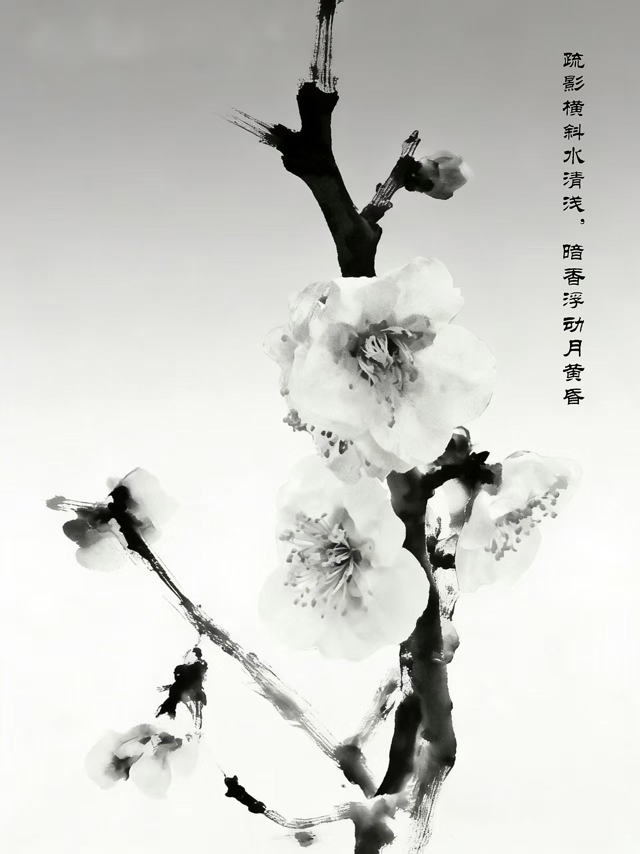 墨梅—清气满乾坤-轻简网_QJianNet