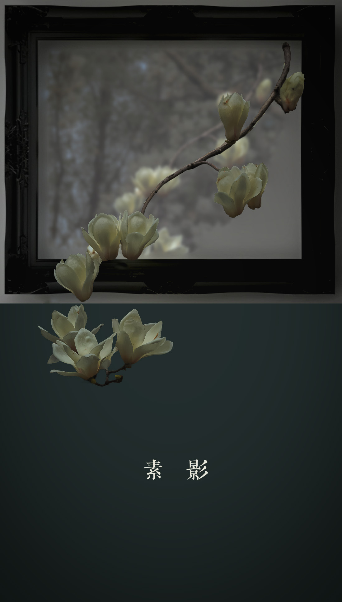 轻简网_QJianNet - 精品Windows,macOS破解软件下载安装