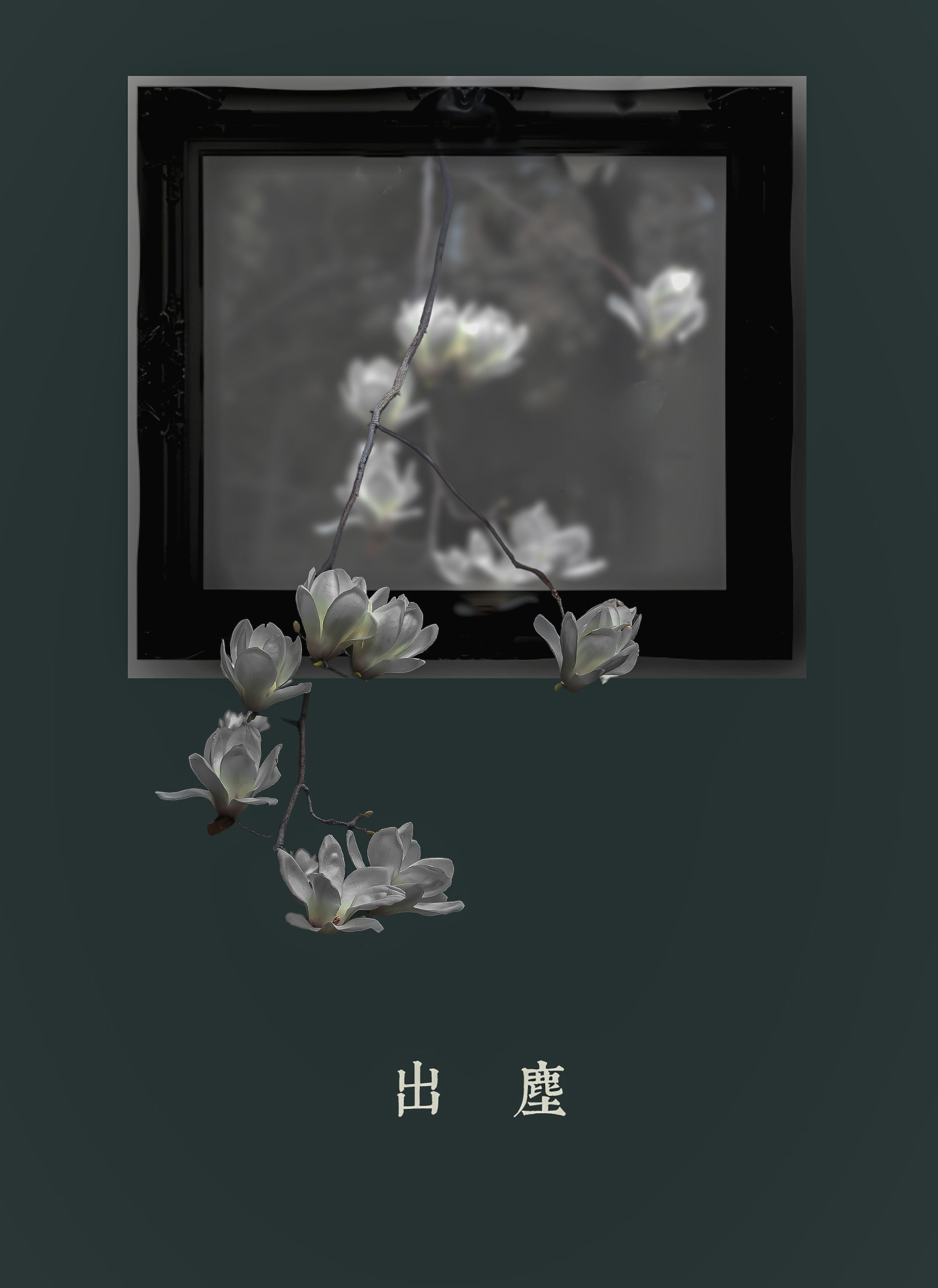 轻简网_QJianNet - 精品Windows,macOS破解软件下载安装