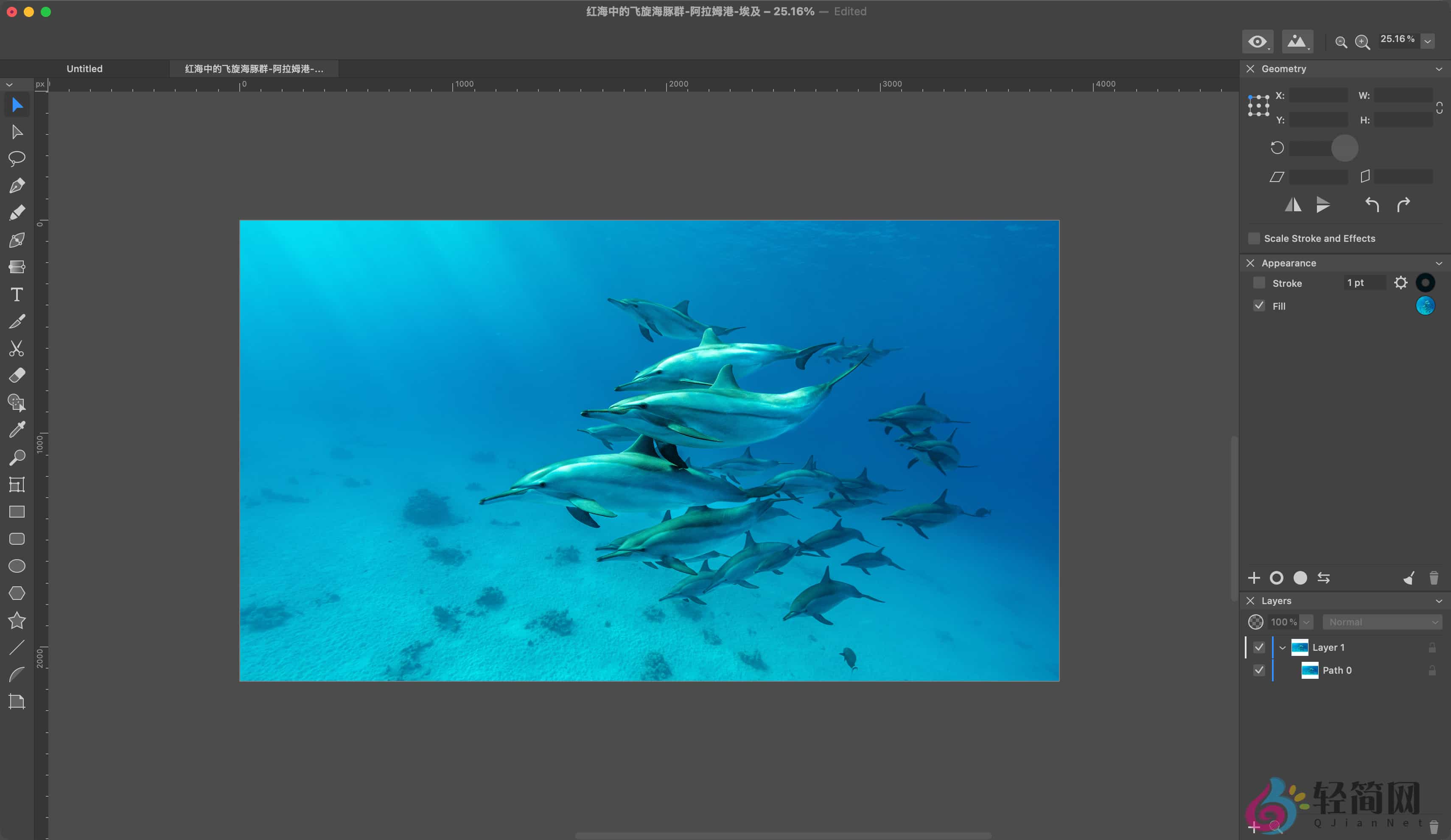 图片[1]-Amadine 1.6.7 矢量绘图与插图-轻简网_QJianNet