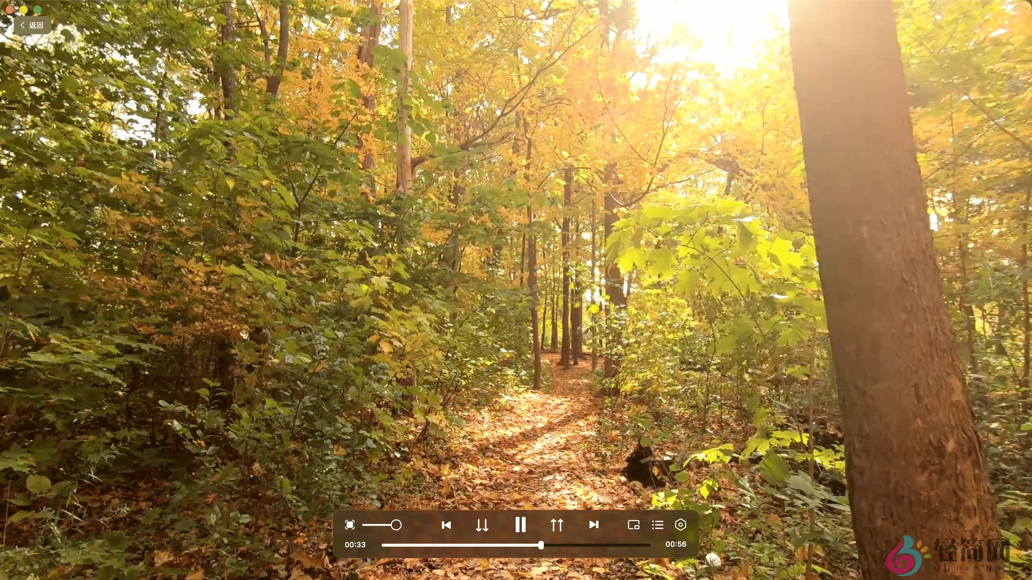 图片[2]-Bunny 3.4 MAS 真高清影音播放器-轻简网_QJianNet