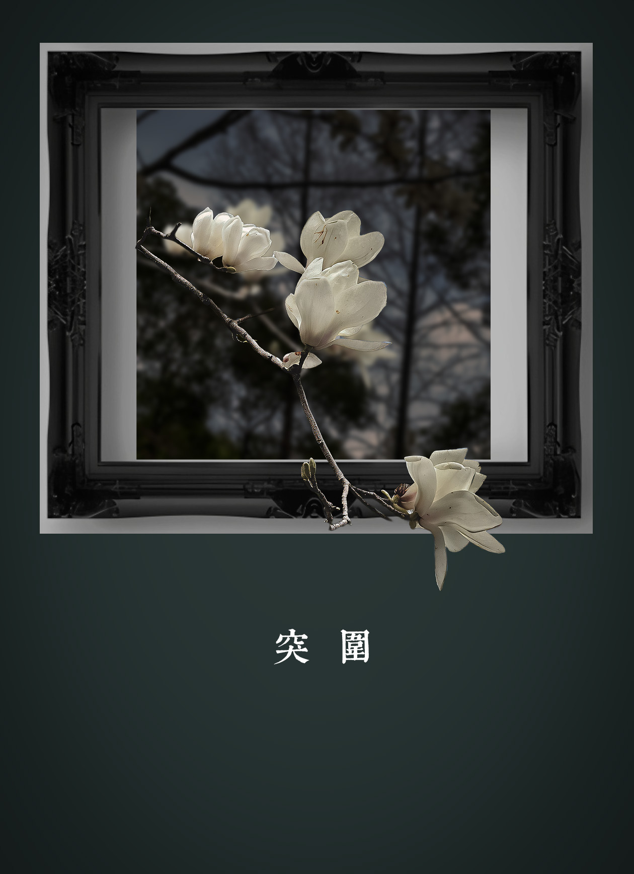 轻简网_QJianNet - 精品Windows,macOS破解软件下载安装