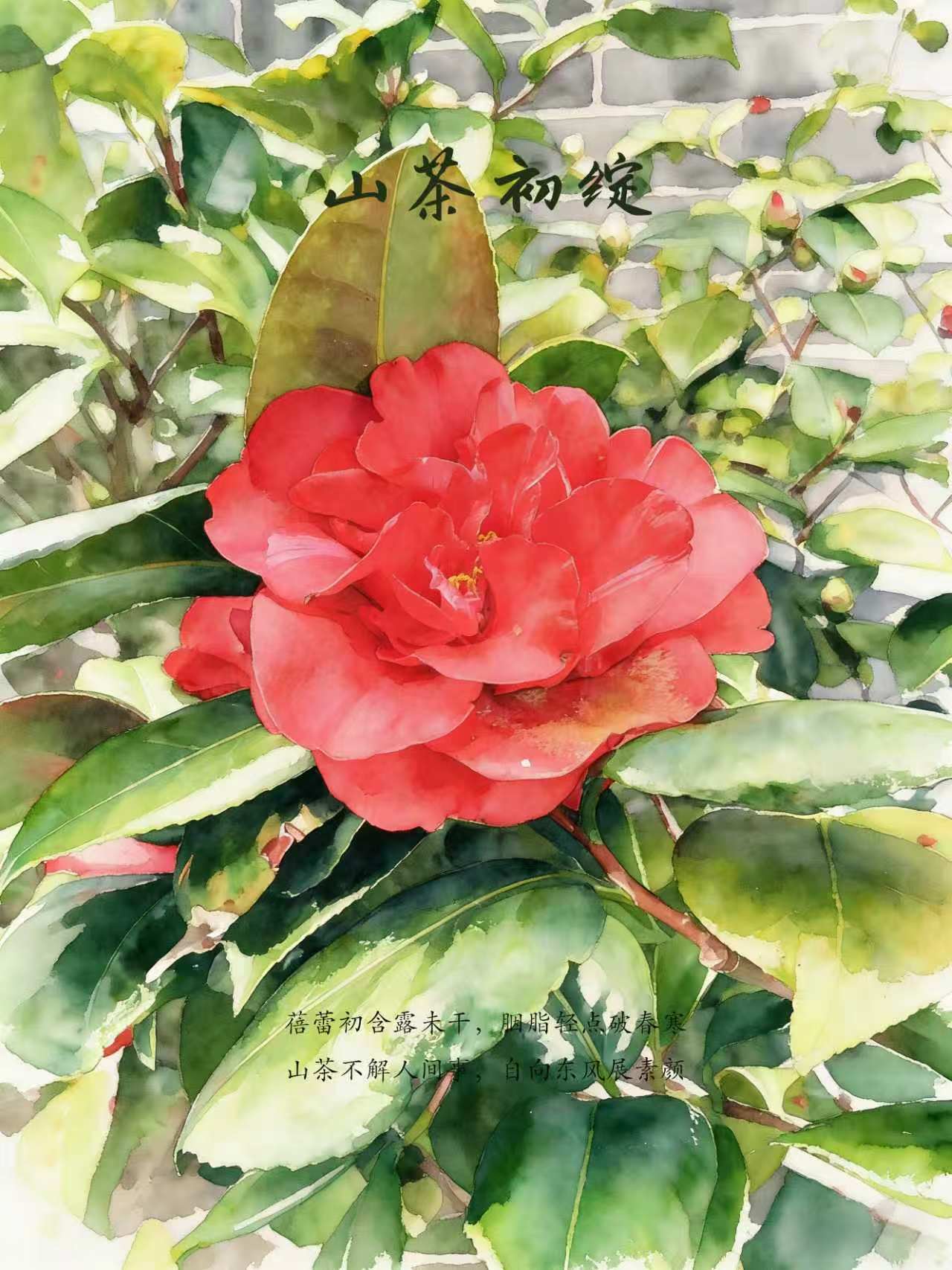 轻简网_QJianNet - 精品Windows,macOS破解软件下载安装