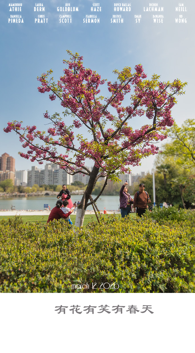 有花有笑有春天-轻简网_QJianNet