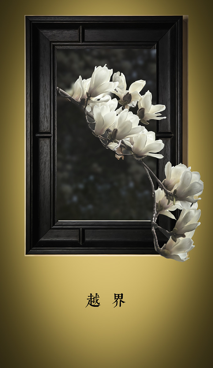 越界—吾将上下而求索-轻简网_QJianNet