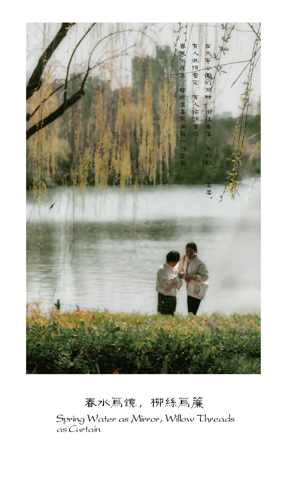 春水为镜  柳丝为帘-轻简网_QJianNet