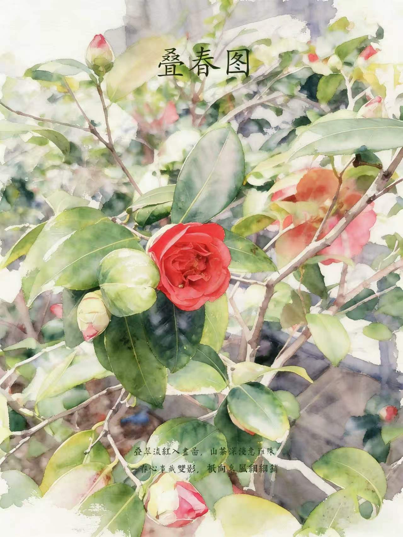 轻简网_QJianNet - 精品Windows,macOS破解软件下载安装