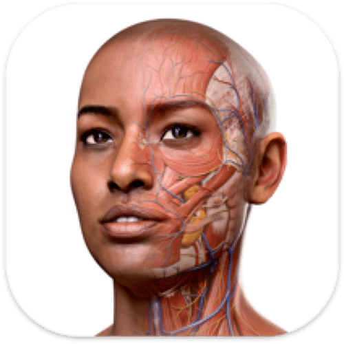Complete Anatomy 11.5.0 3D人体解剖图谱和课程-轻简网_QJianNet