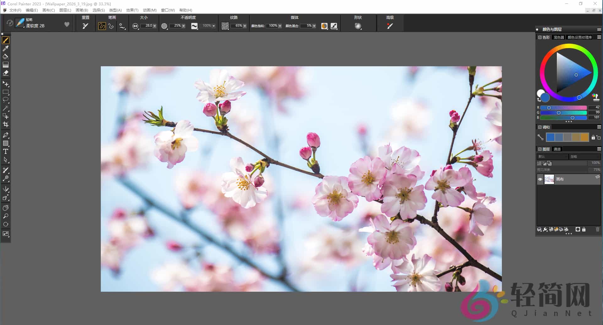 图片[1]-Corel Painter 2023 23.0.0.255 数字艺术与绘画软件汉化-轻简网_QJianNet