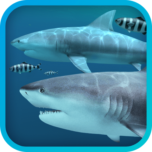 Sharks 3D 2.1.1 MAS 3D鲨鱼动态壁纸-轻简网_QJianNet