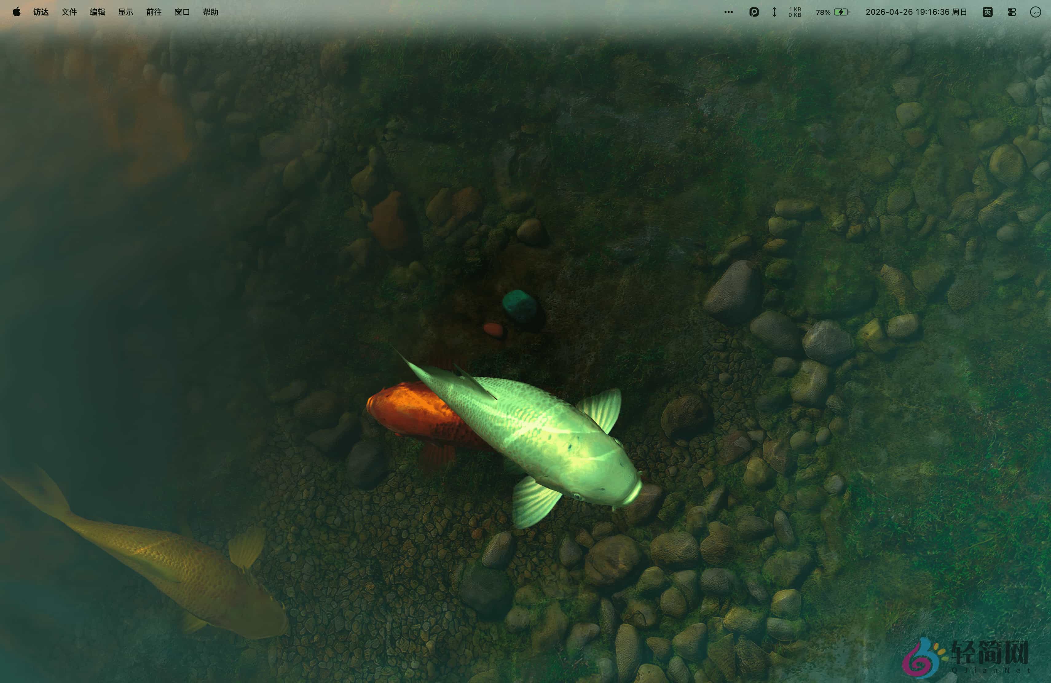 图片[2]-Screen Wonders 3.5.0 MAS 3D水族馆动态壁纸-轻简网_QJianNet