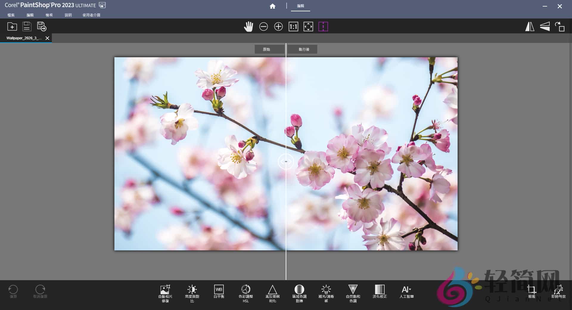 图片[1]-Corel PaintShop Pro 2023 Ultimate 25.2.0.58 照片编辑器-轻简网_QJianNet