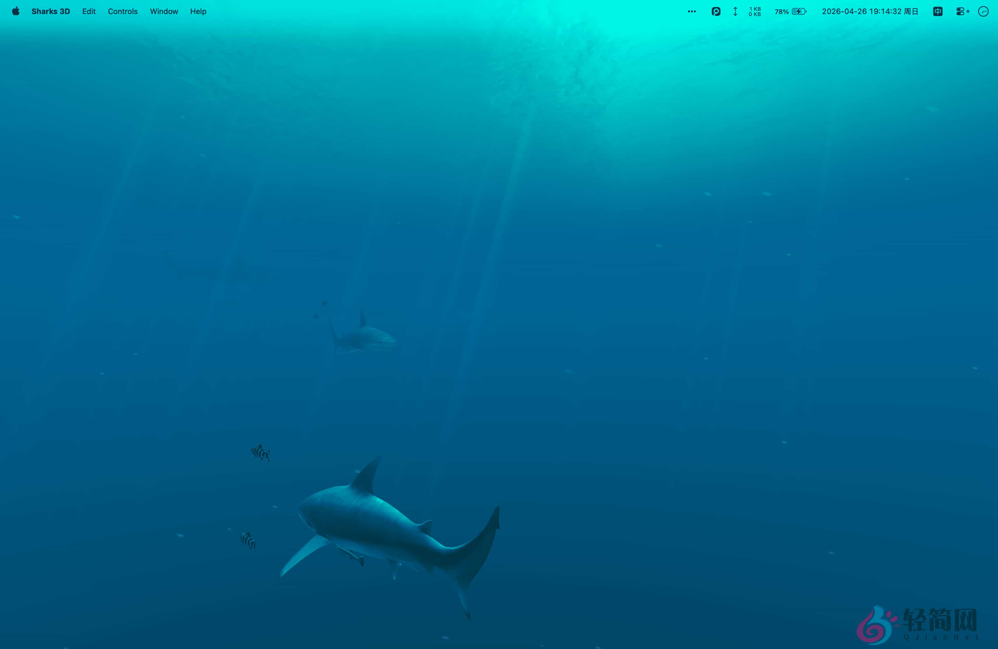 图片[1]-Sharks 3D 2.1.1 MAS 3D鲨鱼动态壁纸-轻简网_QJianNet