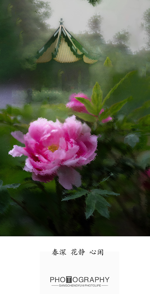 春深  花静  心闲-轻简网_QJianNet