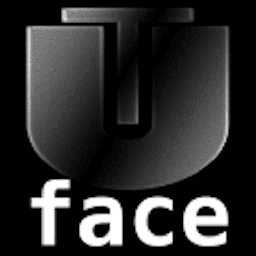 AI Image FaceSwap 2.6.3 AI图片换脸-轻简网_QJianNet