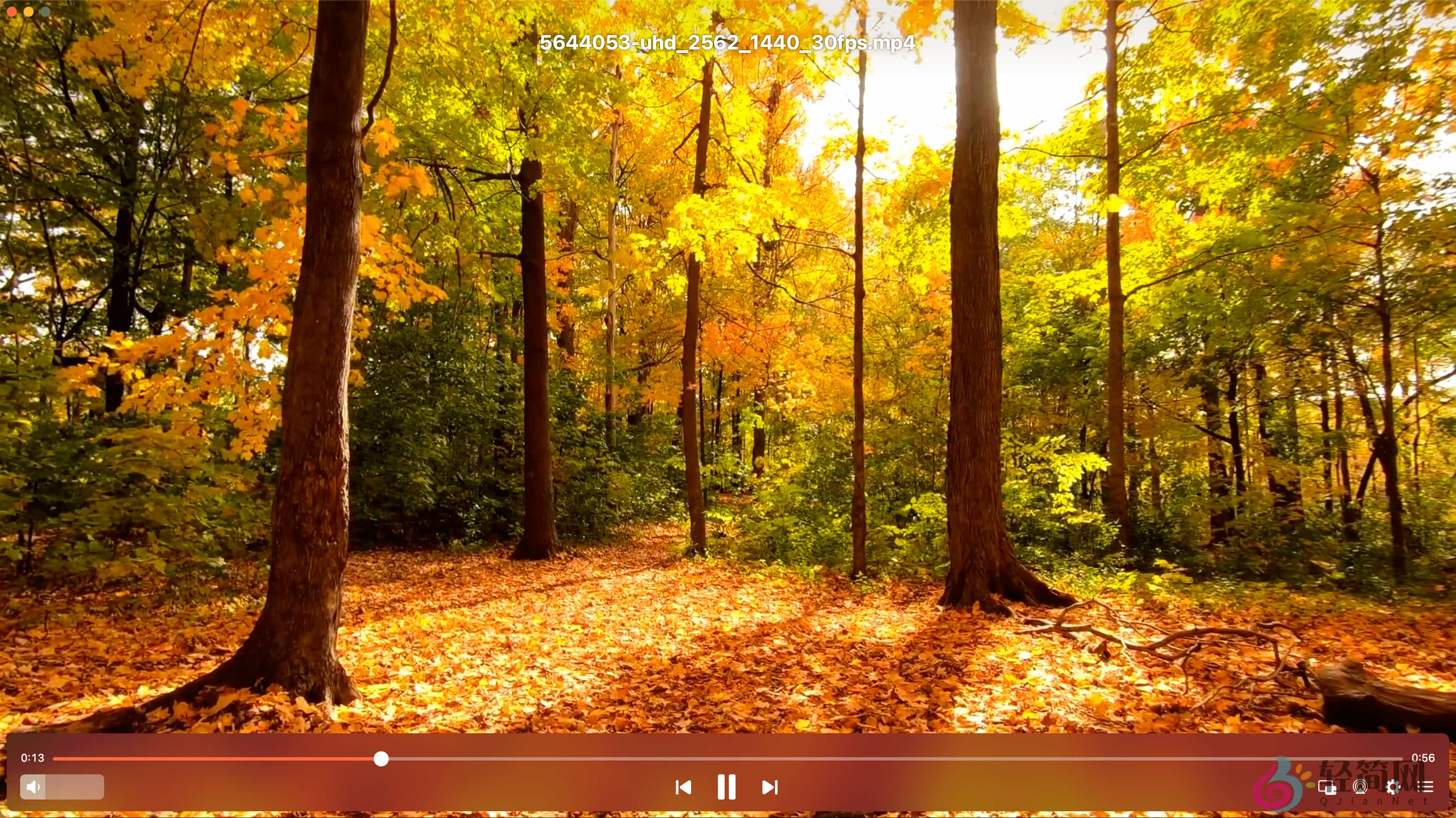 图片[1]-Elmedia Video Player Pro 8.22 MAS 视频播放器-轻简网_QJianNet