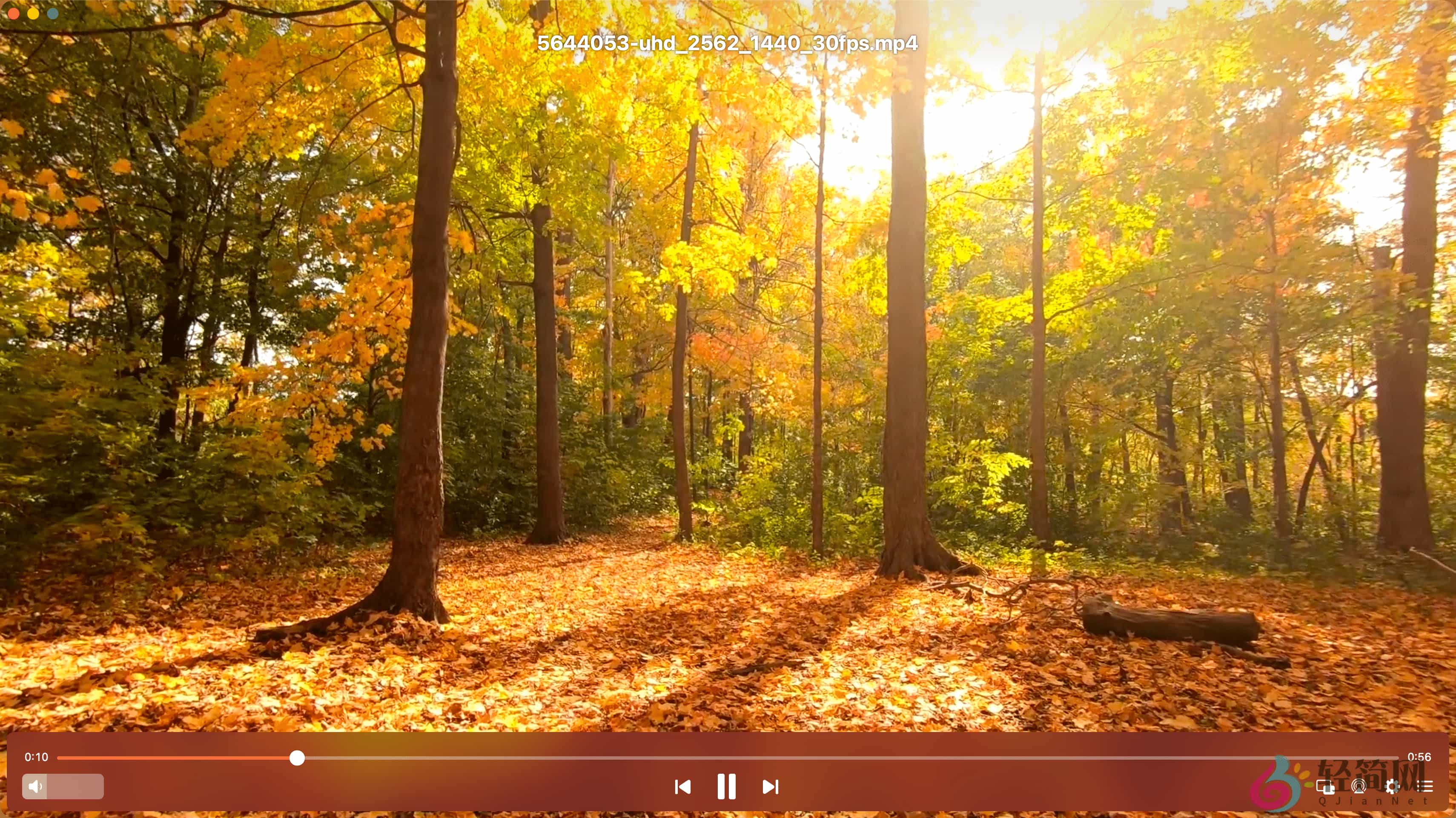 图片[1]-Elmedia Player Pro 8.24 视频播放器-轻简网_QJianNet